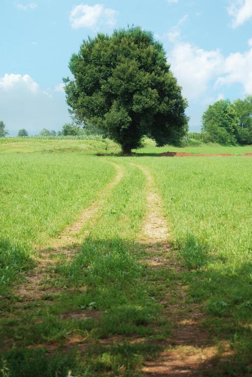 Agriturismo Parco Del Chiese Bedizzole Екстериор снимка