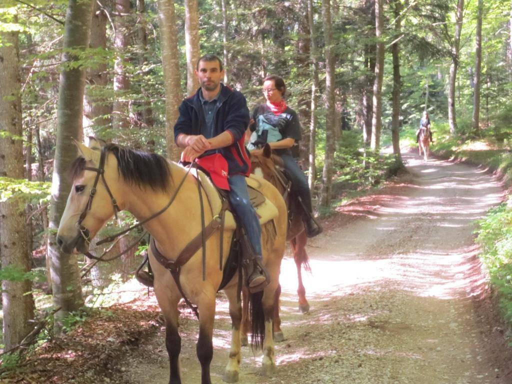 Agriturismo Parco Del Chiese Bedizzole Екстериор снимка