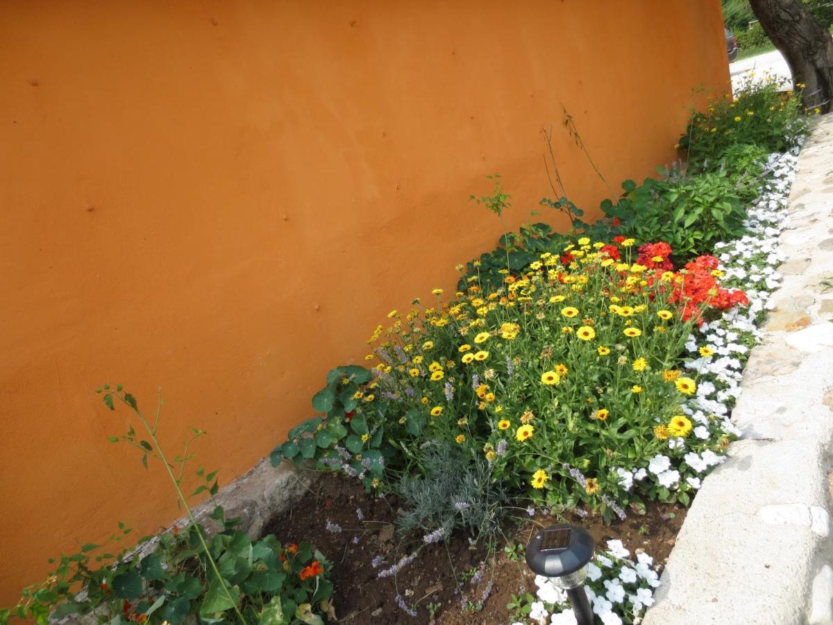Agriturismo Parco Del Chiese Bedizzole Екстериор снимка